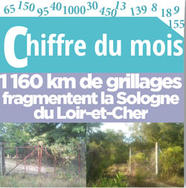 Août 2019 :  1 160 km de grillages  fragmentent la Sologne du Loir-et-Cher